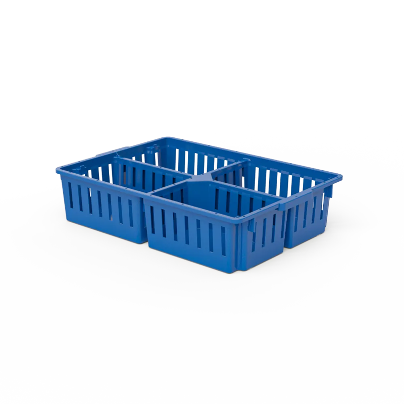 Giordano Chick Box 4 Compartment