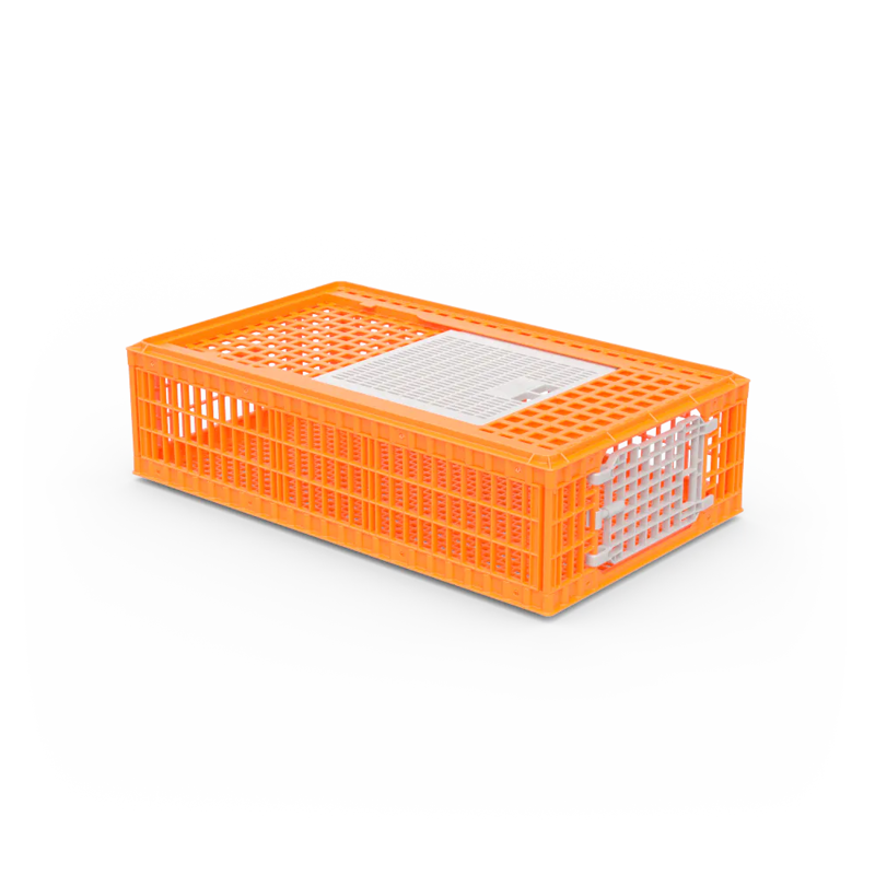 GIORDANO D3 TRANSPORT CRATE