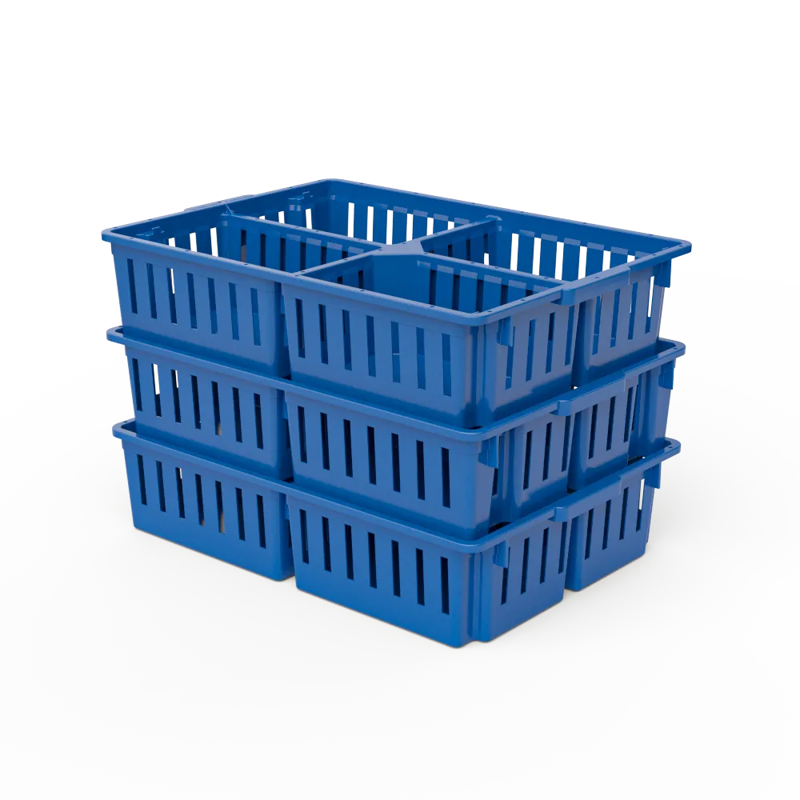 Giordano Chick Box 4 Compartment-2